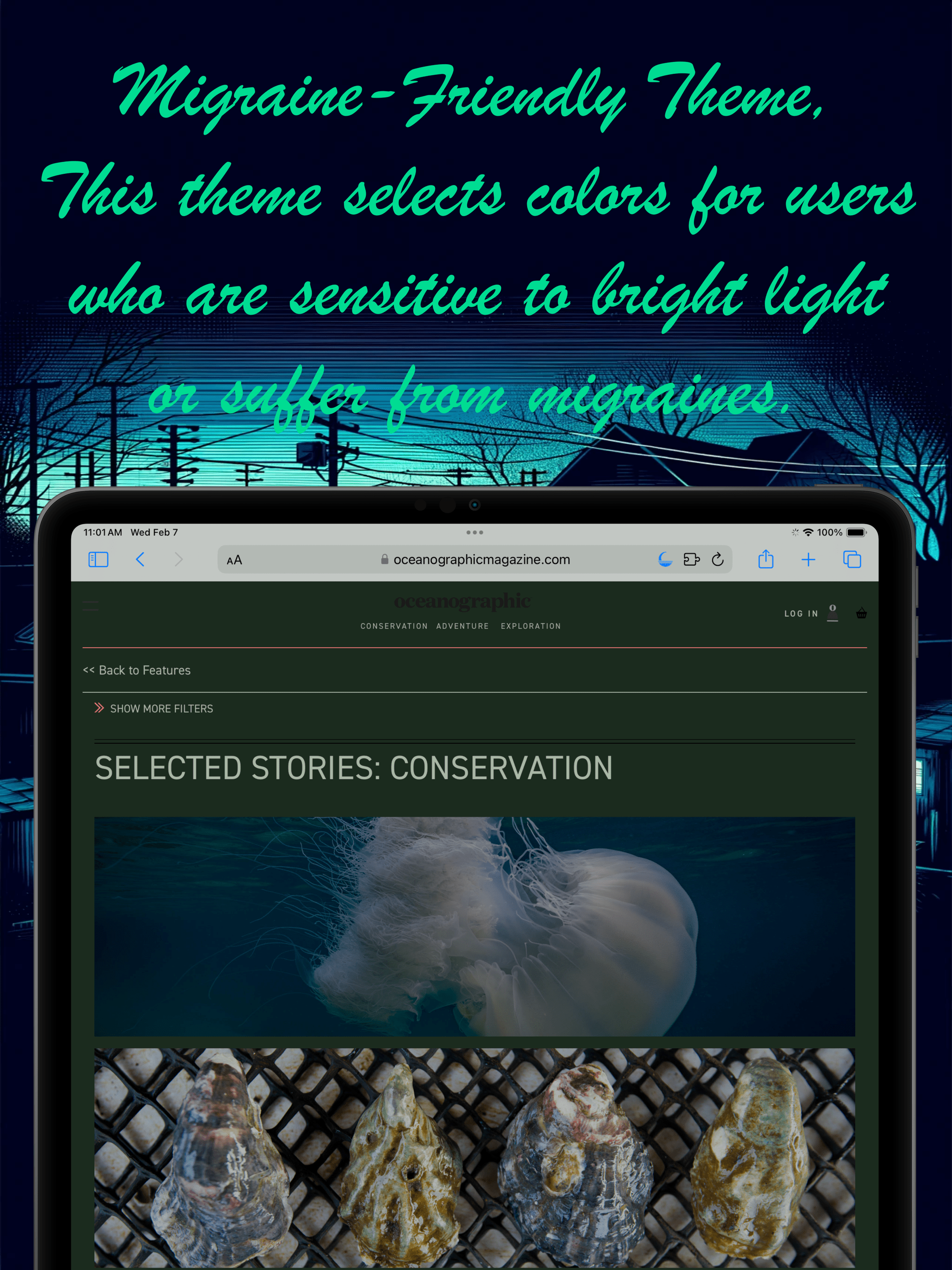 NightBrowser Night Browser Migraine theme, green theme, Migraine Mode, night mode app ios browser extension also avlaible for macosx